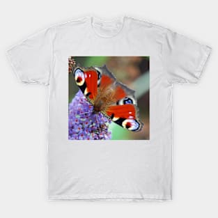 Peacock Butterfly T-Shirt